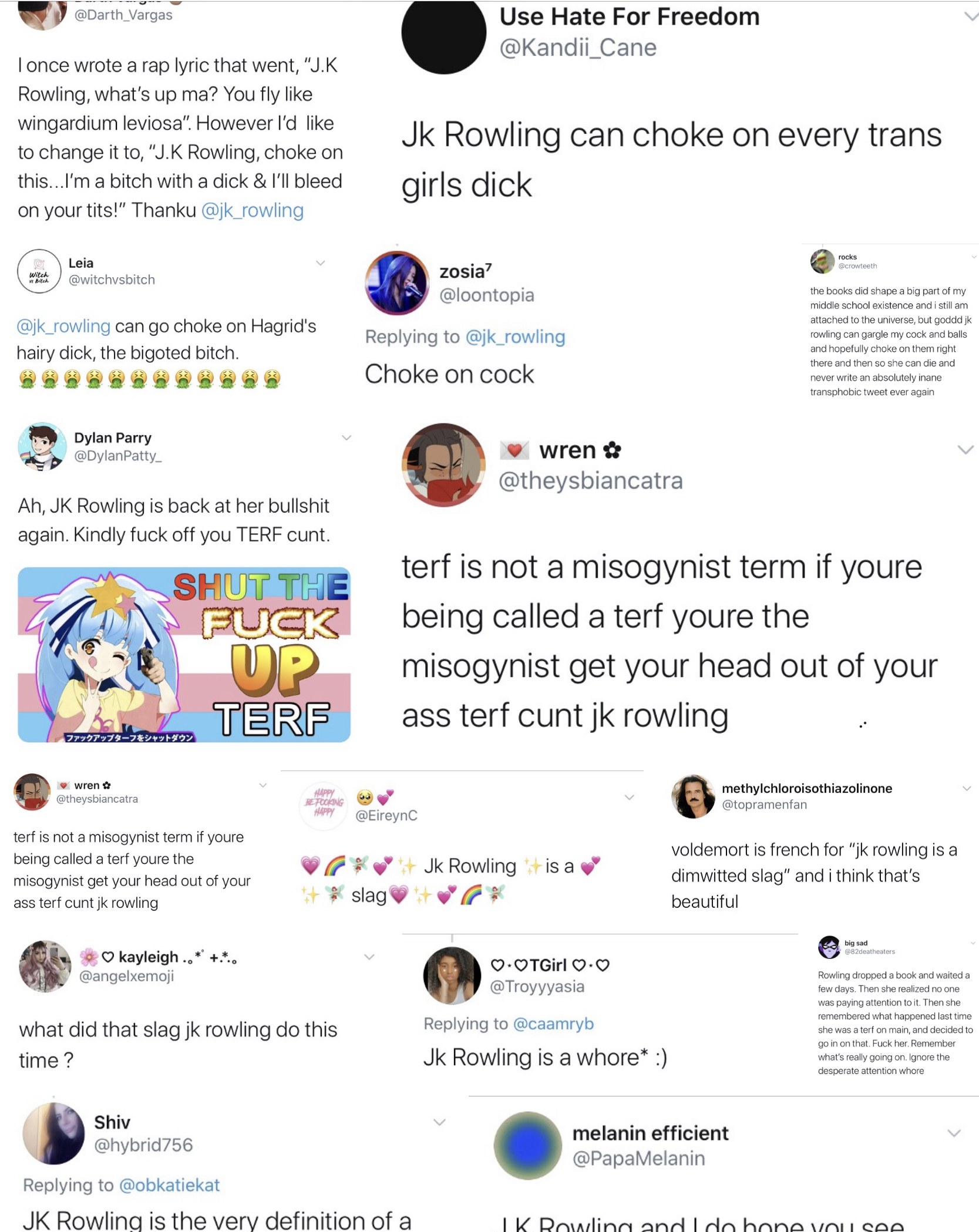 STFU TERF